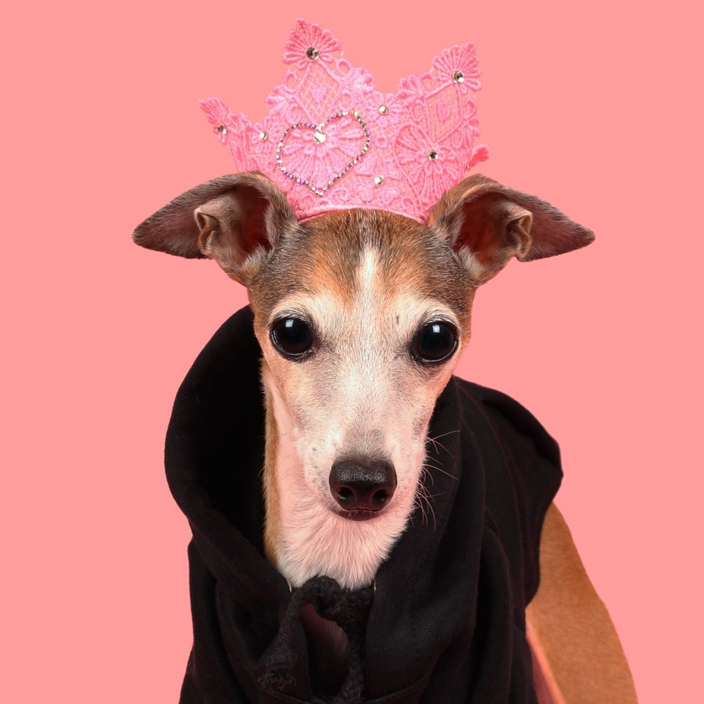 Hand made doggie crowns